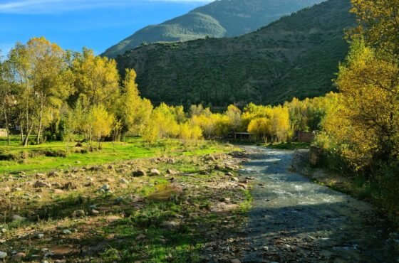 Ourika Valley Escape From Marrakech