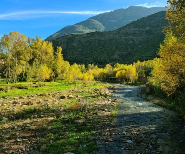 Ourika Valley Escape From Marrakech