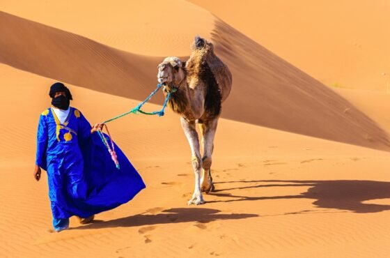 Zagora Desert Experience (2 Days / 1 Night)