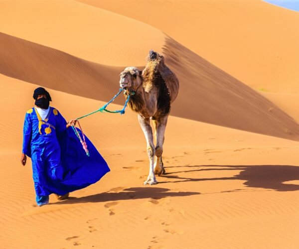 Zagora Desert Experience (2 Days / 1 Night)
