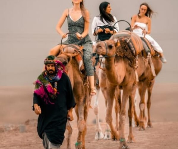 Camel Ride 