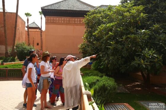 Unforgettable Marrakech Tour – History, Culture & Authenticity