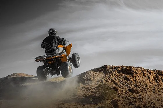 All Trip 29 Morocco Travel and Activities