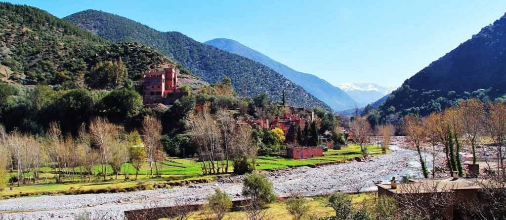 All Trip 44 atlas mountain day camel trek